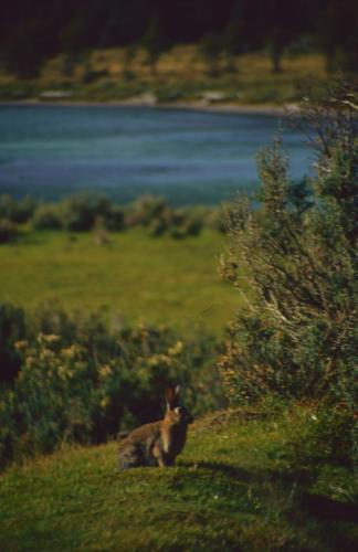 Argentine-Ushuaia-28