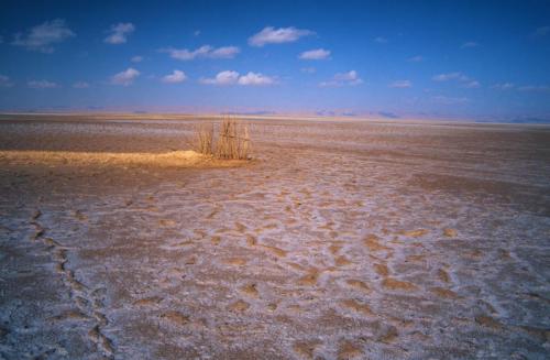 Chott-el-Jerid-5