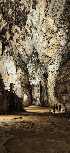 J5-Grotta-Su-Mamuri-79 (1)