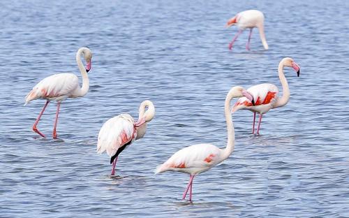 JOUR-10-salinas-El-Trenc-falaises-32