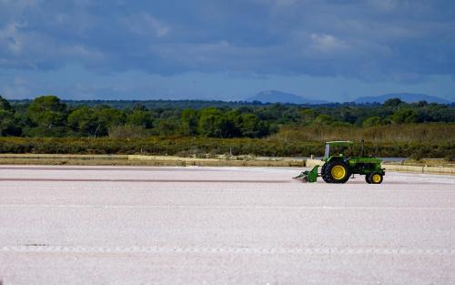 JOUR-10-salinas-El-Trenc-falaises-53