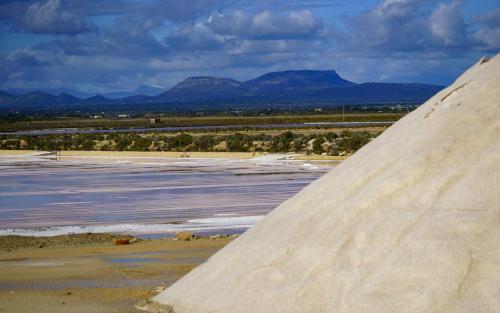 JOUR-10-salinas-El-Trenc-falaises-67