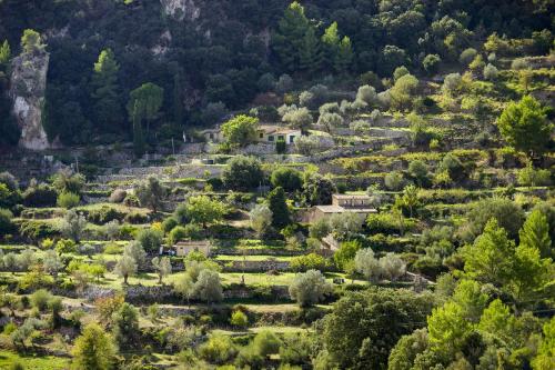 JOUR-2-Valldemossa-Deia-22