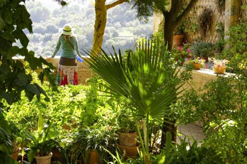 JOUR-2-Valldemossa-Deia-25