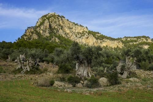 JOUR-2-Valldemossa-Deia-62