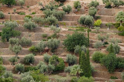 JOUR-2-Valldemossa-Deia-83
