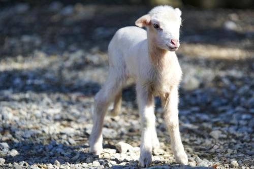 JOUR-3-Tramuntana-30