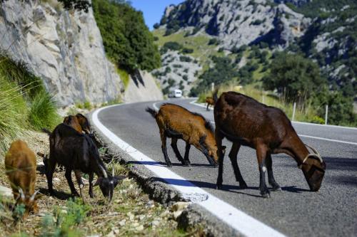 JOUR-3-Tramuntana-44