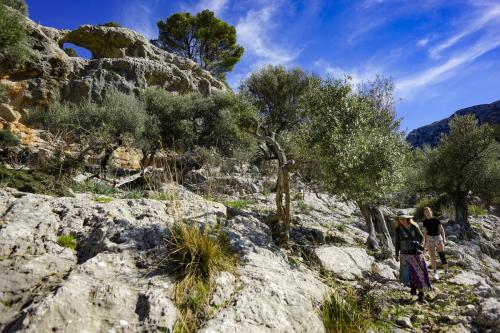 JOUR-3-Tramuntana-55