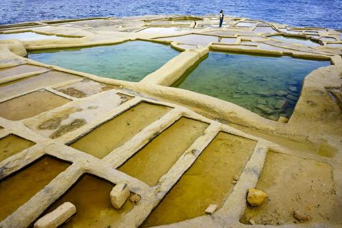 JOUR-4-salins-10 (1)