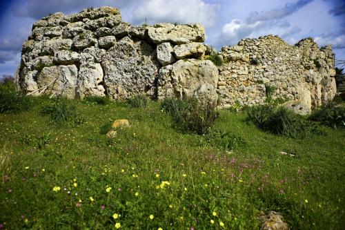 JOUR-4-temple-Ggantija-22 (1)