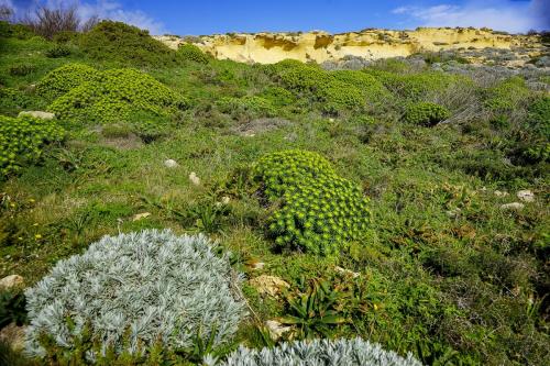 JOUR-5-Dwejra-18 (1)