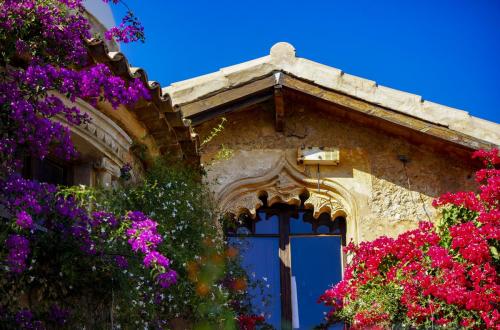 JOUR-5-Pollenca-Albufera-27