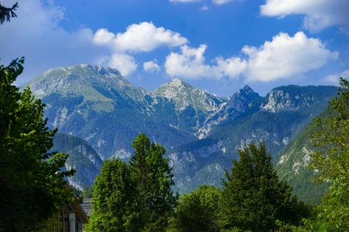 Jour-12-Bohinj-19