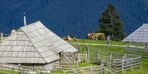 Jour-15-Velika-Planina-71