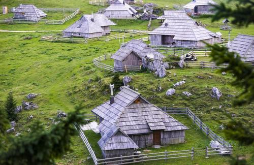 Jour-15-Velika-Planina-79
