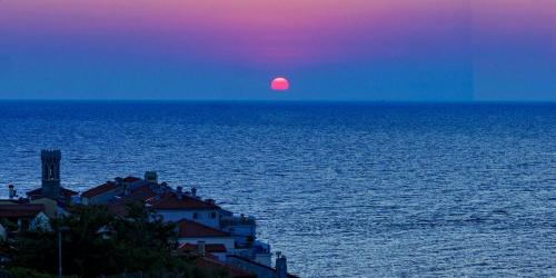 Jour-7-Piran-13