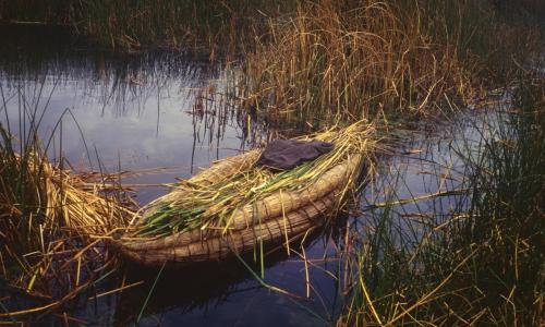 Lac-Titicaca-Uros-5