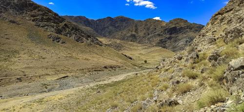 Porasht-cheval-65