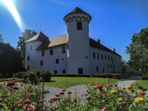 chateau-1